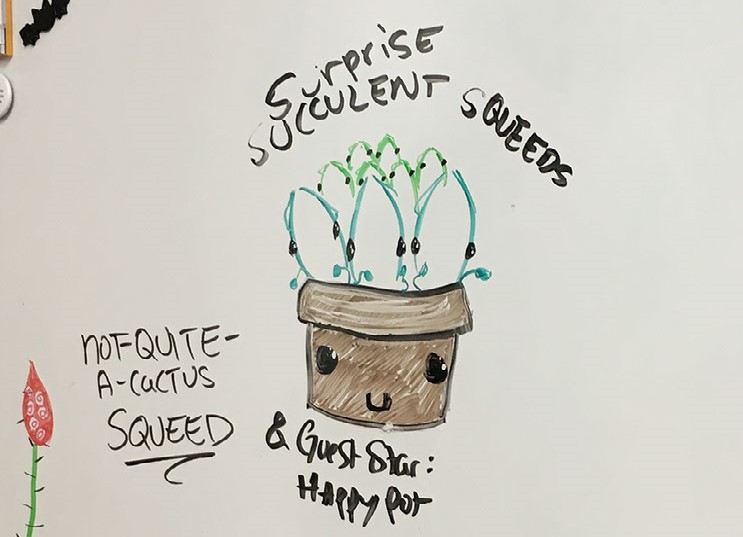 Surprise_Succulent_Squeed